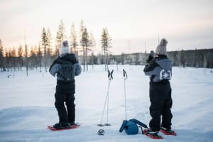 Snowshoeing Excursion from Levi