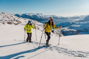 Arctic Wilderness Snowshoe Excursion from Tromsø