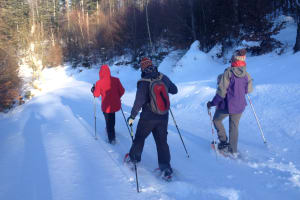 Night snowshoeing excursion to the Donon, Vosges