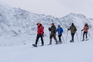 Randonnée guidée en raquettes au départ de Kabelvåg, près de Svolvær, dans les Lofoten