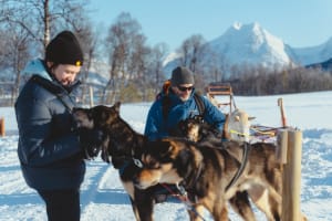 Self-drive Dog Sledding and Husky Experience near the Lyngen Alps from Tromsø