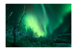 Authentic Swedish Street Food and Northern Lights Chase from Kiruna