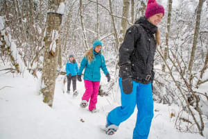 Guided Snowshoe Hike at Mont-Tremblant in the Laurentians