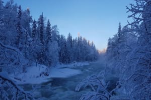 Excursion en raquettes à neige dans le parc national d'Oulanka