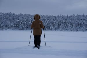 Randonnée en raquettes à Inari depuis Muotkan Ruoktu 