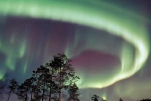 Minibus-Nordlichtjagd in Inari von Ivalo aus