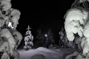 Evening Snowshoeing Tour in Urho Kekkonen National Park from Saariselkä