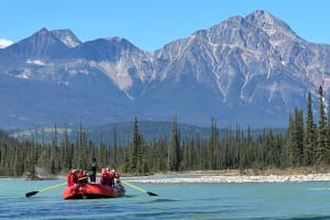 Scenic Rafting on the Athabasca River in Jasper National Park, Alberta