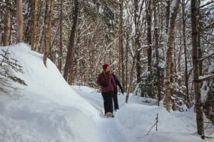 Randonnée guidée en raquettes dans le Parc national de la Jacques-Cartier, Québec