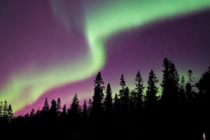 Nordlicht-Tour ab Luleå