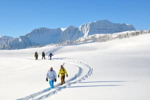 Schneeschuhwanderung durch die Sunshine Meadows von Banff aus