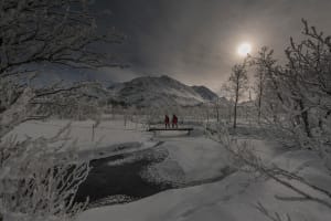 Nighttime Snowshoeing Excursion from Tromsø
