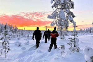 Randonnée en raquettes à partir de Rovaniemi