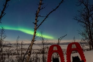 Northern Lights Snowshoeing Excursion in Abisko National Park