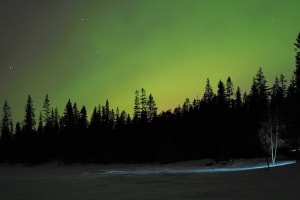 Northern Lights Snowshoeing Excursion in Luleå
