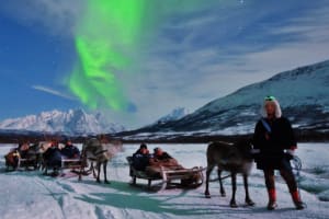 Balade en traîneau à rennes sous les aurores boréales depuis Tromsø