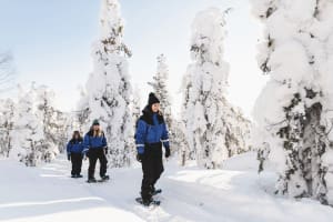 Excursion en raquettes dans l'Arctique au départ de Rovaniemi