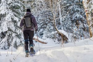 Excursion en raquettes au Camp Mercier, Réserve faunique des Laurentides, depuis Québec