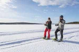 Excursion en raquettes à partir de Rovaniemi