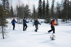 Randonnée en raquettes à Kiruna