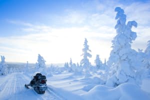Excursion en motoneige à travers la forêt et les lacs près de Rovaniemi