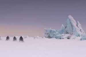 Safari en motoneige Roi de l'Arctique au départ de Longyearbyen (Svalbard)