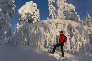 Randonnée en raquettes à neige au cœur des Alpes, Courchevel