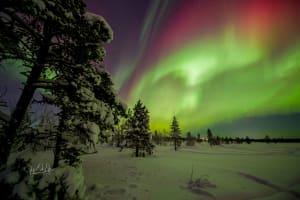 Minivan Northern Lights Chase from Kiruna