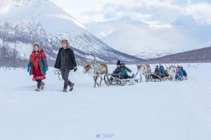 Excursion d'une journée en traîneau à rennes au départ de Tromsø