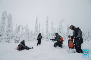 Excursion en raquettes dans la nature sauvage de Laponie au départ de Rovaniemi