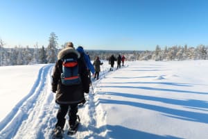 Guided Snowshoeing Excursion in Luleå