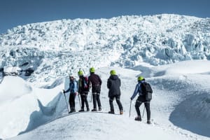 Excursión intermedia de senderismo por el glaciar Falljökull en el Parque Nacional de Vatnajökull desde Skaftafell 