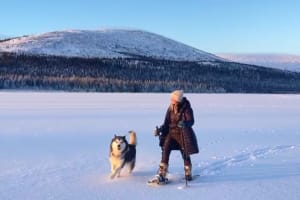 Reindeer Farm Visit and Snowshoeing Adventure from Levi in Raattama
