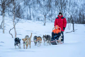 Intermediate Self-Drive Dog Sledding Excursion from Tromsø