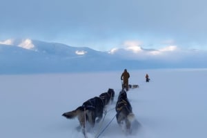 Soirée de chiens de traîneau au départ de Randsverk, près du parc national de Jotunheimen 