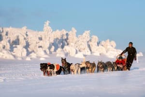 Ansättenfjäll Hundeschlittenausflug von Bakvattnet