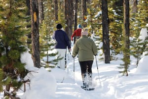 Geführte Schneeschuhwanderung in der Nähe von Whitehorse, Yukon