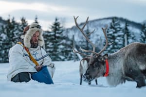 Fjord arctique Traîneau à rennes et expérience sami au départ de Tromsø