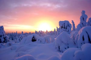Excursion en raquettes et grillades de saucisses dans le parc national de Pallas-Ylläs depuis Ylläsjärvi