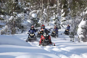 Excursion d'une journée en motoneige en Laponie finlandaise au départ de Rovaniemi