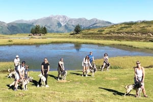 Canicross con un husky en Val d'Azun, Cauterets