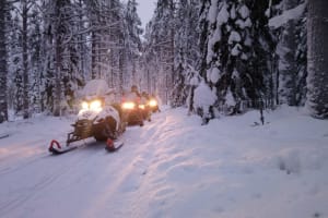 Aventure forestière en motoneige dans la baie de Botnie au départ de Kemi