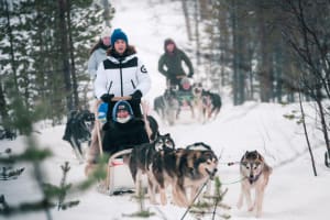 Self-drive Dog Sledding Excursion near Lake Inari from Saariselkä