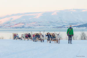 Excursions en traîneau à rennes au départ de Tromsø