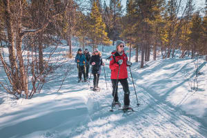 Snowshoeing to the Frozen Orvvosfossen Waterfall from Alta