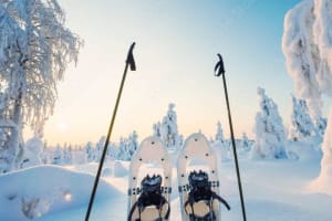 Excursion en raquettes au départ de Rovaniemi