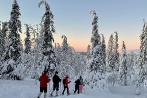 Snowshoeing Excursion in Pallas-Ylästunturi National Park from Levi