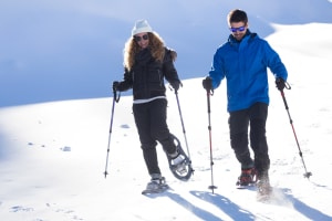 Excursion guidée en raquettes à partir de Rovaniemi 