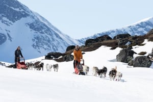 Journée complète de chiens de traîneau dans le parc national de Jotunheimen à partir de Randsverk