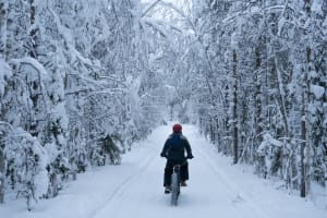 Ruta invernal en bicicleta eléctrica por Laponia, desde Rovaniemi